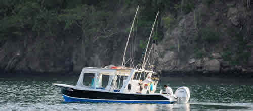 Playas del Coco Fishing Boats