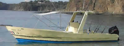 Needle Fish Boat at Dream Las Mareas