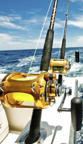 Papagayo offshore fishing charters