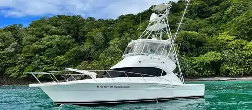 Flamingo Fishing Charters Guanaacaste