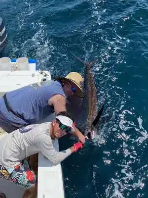 Sailfish in Deep sea fishing, Dreams Las Mareas