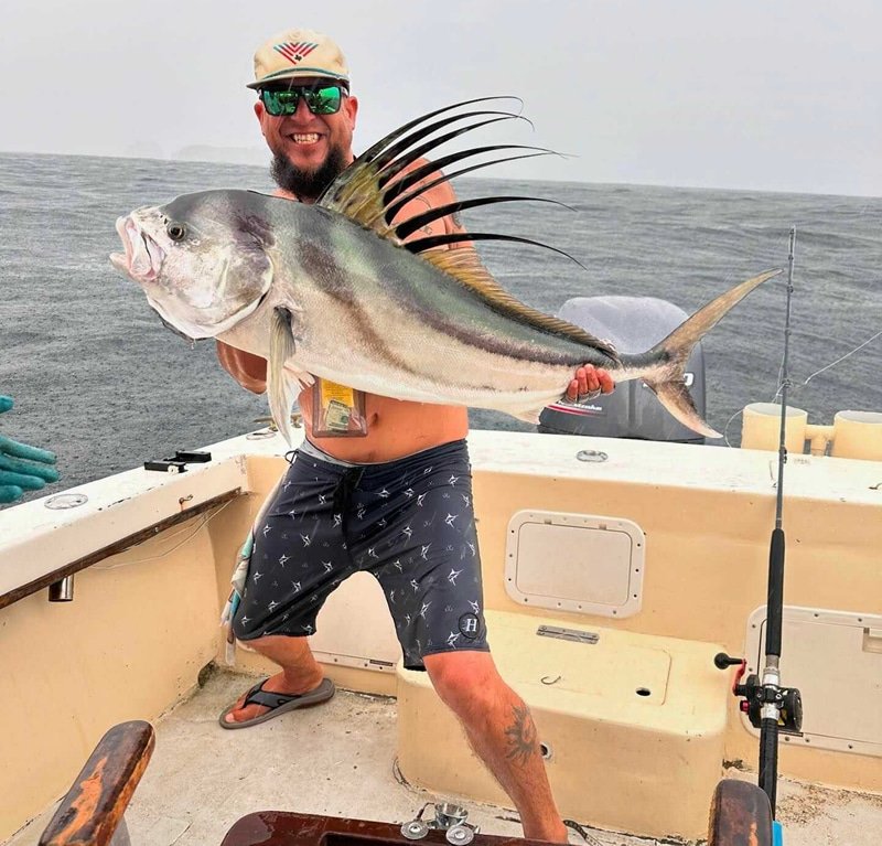 Some roosterfish in the Gulf Papagayo
