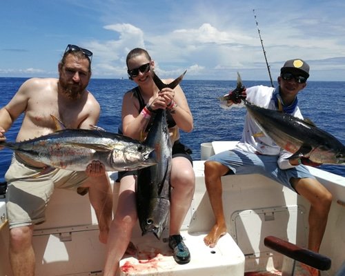 Yellowfin at the Gulf Papagayo