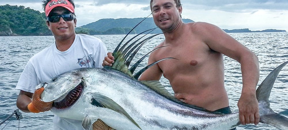 Rooster fishing Gulf Papagayo