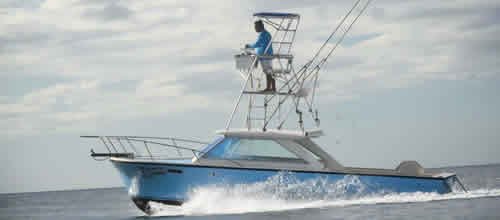 Sport fishing charters from Dreams Las Mareas, Guanacaste