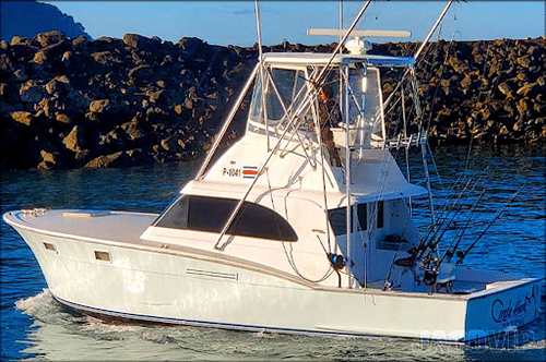 Sport fishing charters Marina Los Sueños